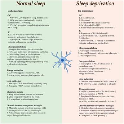 Role of astrocytes in sleep deprivation: accomplices, resisters, or bystanders?